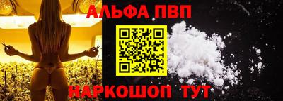 СК Гатчина