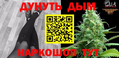 шишки Гагарин