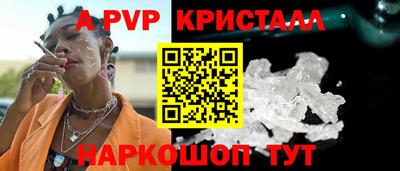 СК Гатчина