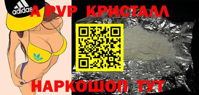СК Гатчина