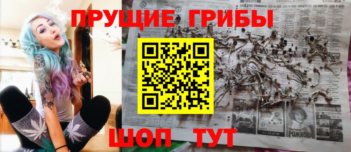 Псилоцибиновые грибы прущие грибы  продажа наркотиков  Рузаевка  Вход с VPN  Псилоцибиновые грибы мицелий 